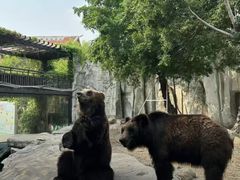 -灵玲国际马戏城
