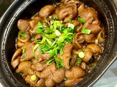 红烧大肠煲-阿龙酒煲(海宁新苑路店)