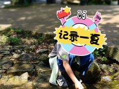 -木兰云雾山