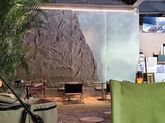 -J Create城市露营咖啡·简餐·宠物(上海动物园店)