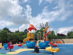 -铁山坪森林公园