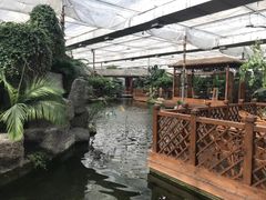 -汤山翠谷生态餐厅