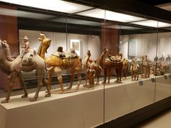 -西安大唐西市博物馆