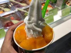 -Salud撒露欧洲冻酸奶(北苑上品店)