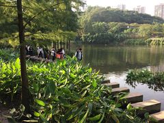 -重庆彩云湖湿地公园