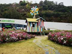 -野狸岛