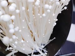 -淼福猪肚鸡·椰子鸡火锅(大沙地店)
