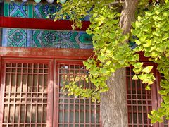 -历代帝王庙博物馆