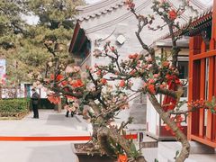 -陶然亭公园