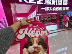-K22.酸奶草莓(烟台芝罘店)