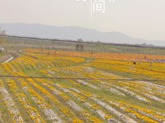 -南诏风情岛