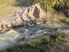 -东钱湖旅游度假区