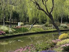 -上海鲜花港