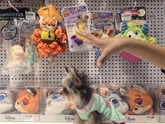 -BABIT巴比特宠物(MOMOPARK店)