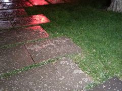 雨天撒满花瓣的露天用餐地点-有才叔的小馆(招商依云曲江店)