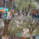 岳麓山下，湖南大学的帅哥爱吃的烧饼！