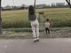 -乌村