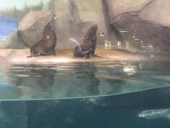 -福州罗源湾海洋世界旅游区