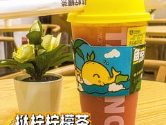 -HALO广场(梨园路店)