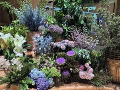 -BEAST野兽派(上海浦东嘉里城店)