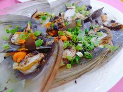 -湛江渔港·大排档(乐园路总店)