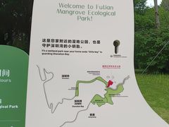 -福田红树林生态公园
