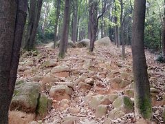-火炉山森林公园