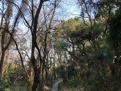 -吴山景区