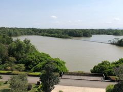 -大湾区中央湿地公园