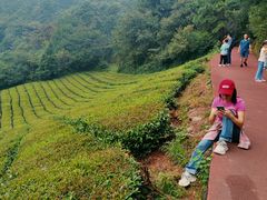 -敬亭山风景名胜区