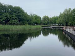 -同里国家湿地公园