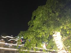 -老幺泉水鸡
