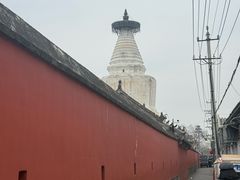 -杏园餐厅(西四北大街店)