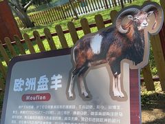-王借岗森林公园