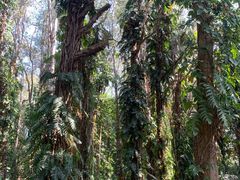 -华南国家植物园-售票处