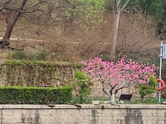 -元大都城垣遗址公园