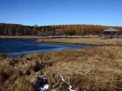-塞罕坝国家级自然保护区