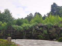 -和顺柏联温泉