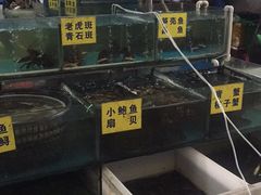 水产区-上海浦南农副产品批发市场