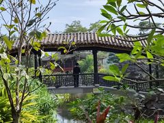 -顺峰山公园