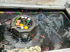 -燕喜堂·中华老字号(大明湖店)