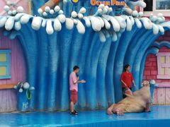 -华夏文旅海洋公园