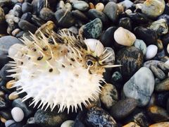 iphone_upload_pic-七星潭蓝天广场