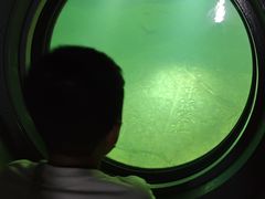 -白鹤梁水下博物馆