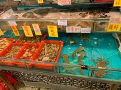 水产区-鲜入围煮花胶鸡海鲜火锅