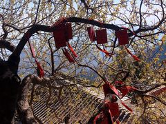 -天津盘山风景名胜区