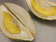 -都念榴莲·城市榴莲