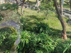 -武汉动物园