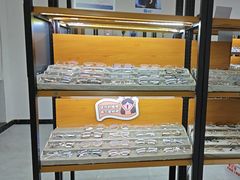 -五派眼镜(沙河店)