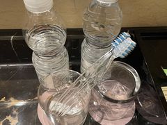 -上海圣淘沙万怡酒店